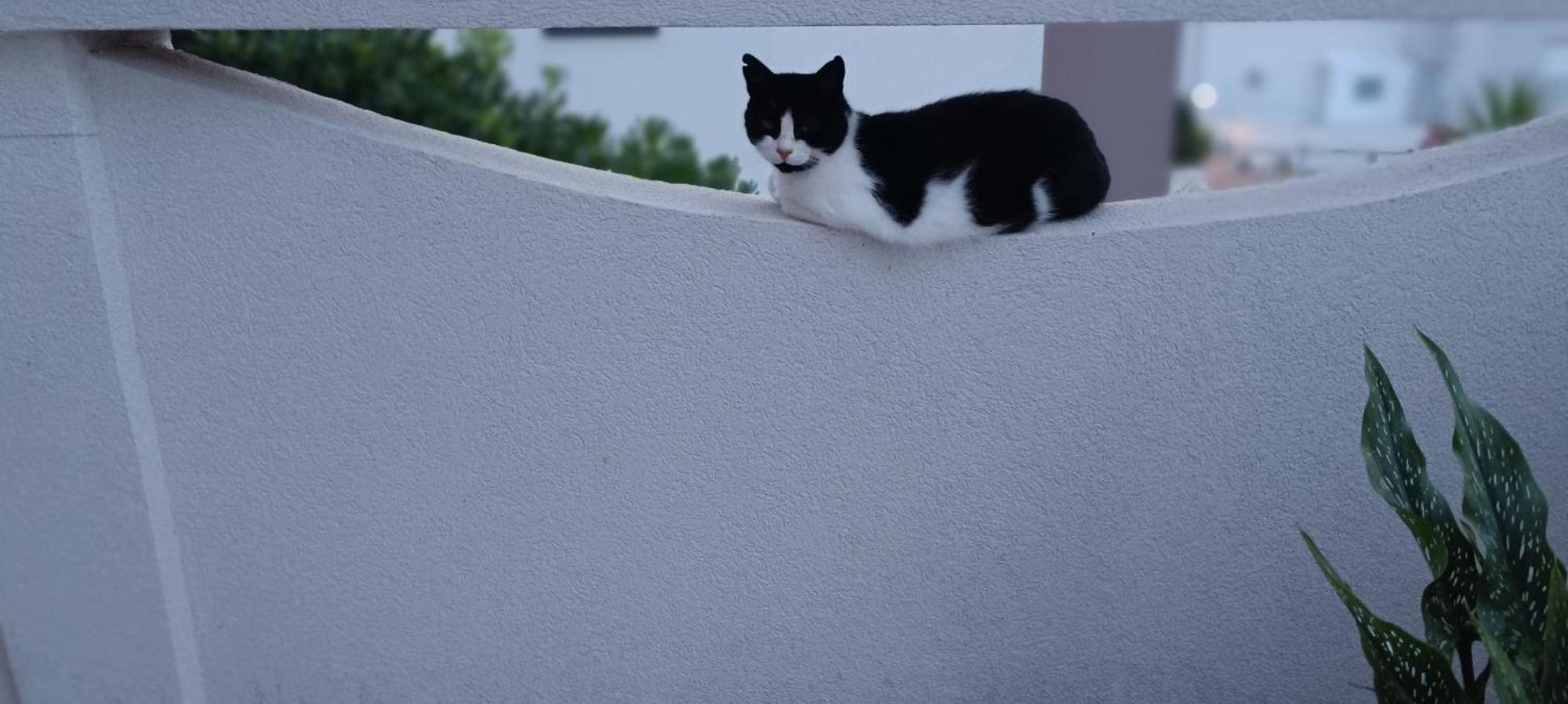 Apartmani Kunteja Pag Town Exterior foto